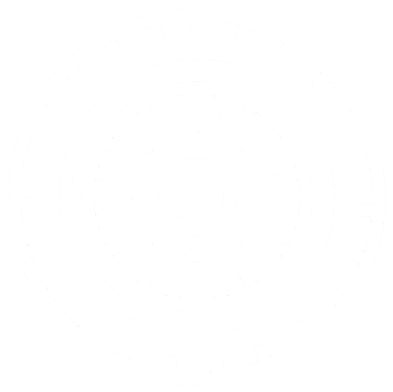 pneu icon